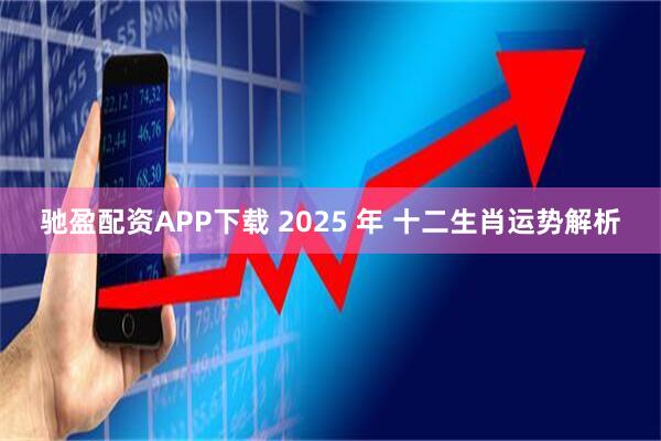 驰盈配资APP下载 2025 年 十二生肖运势解析