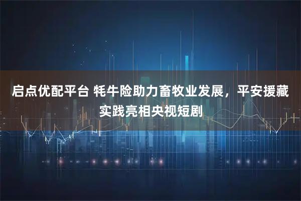 启点优配平台 牦牛险助力畜牧业发展，平安援藏实践亮相央视短剧